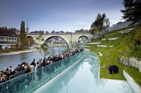 Bjørner har en viktig plass i Berns historie, og tas godt vare på i Bärengraben. Foto: © Bern Tourism Bärengraben, Bern, Nord-Sveits, Sveits