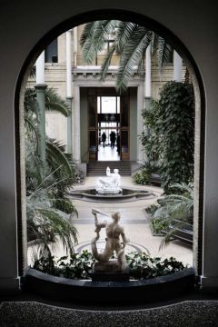 Vinterhaven i Ny Carlsberg Glyptotek i København. Foto: © Tuala Hjarnø / copenhagenmediacenter.com København, Sjælland, Danmark