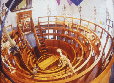 Theatrum Anatonicum - modell av renessansens auditorium for anatomiske studier, svært likt det Galieo Galilei brukte i Padova. Foto: Leiden Marketing Theatrum Anatonicum, Museum Boerhave, Leiden, Zuid-Holland, Sør-Nederland, Nederland