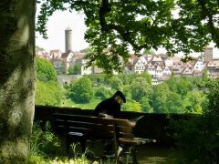Utsikt over gamlebyen i Rothenburg fra en fredet plett i Burggarten. Foto: © Annemieke Böttger Burggarten, Rothenburg ob der Tauber, Bayern, Sør-Tyskland, Tyskland