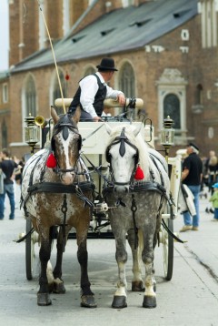 Er man glad i sightseeing med hest og kjerre, så finnes det muligheter i Krakow, for å si det slik Krakow, Unesco Verdensarv, Sukiennice, Basilica Santa Maria, gamlebyen Stare Miasto, historisk bydel, middelalder, markedsplass Rynek Glowny, Wawelborgen, Kazimierz, Sør-Polen, Polen