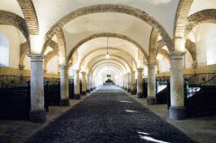 Fra de kongelige stallene, Caballerizas Reale, som ligger rett ved Alcazar. Her arrangeres det spektakulære rideoppvisninger. Foto: © TurismoCordoba ESP Cordoba, katedral-moskéen La Mezquita, Caballerizas Reale, Alcazae Reyes Cristianos, Guadalquivir, Al-Zahra, Unescos liste over Verdensarven, historisk bydel, gamleby, Andalucia, Spania