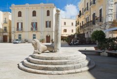 Denne søylen og løven på Piazza Mercantile bærer bud om at Bari er en gammel by, i romertiden het den Barium Piazza Mercantile, Bari, historisk bysenter, normannere, gourmet, gamleby, gotikken, romansk, renessansen, barokken, Puglia, Sør-Italia, Italia