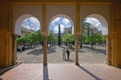 Innenfor murene rundt Mesquita finner du den nydelige appelsinhagen Patio de los Naranjos med fontener. Foto: © TurismoCordoba ESP Cordoba, Patio de los Naranjos,katedral-moskéen La Mezquita, Guadalquivir, Al-Zahra, Unescos liste over Verdensarven, historisk bydel, gamleby, Andalucia, Spania