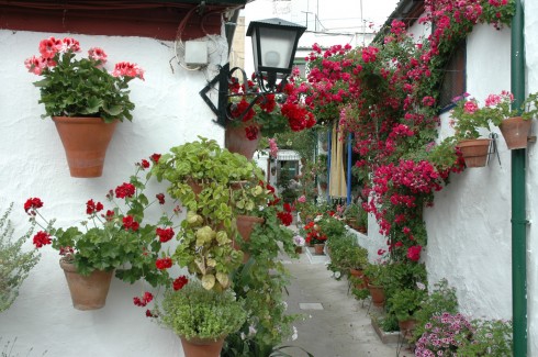 En av Cordobas mange og berømte patios - som oftest overdådig pyntet med vakre blomster. Byen har et eget Patio-museum. Se lenger ned. Foto: © TurismoCordoba ESP Cordoba, katedral-moskéen La Mezquita, Guadalquivir, Al-Zahra, Unescos liste over Verdensarven, historisk bydel, gamleby, Andalucia, Spania