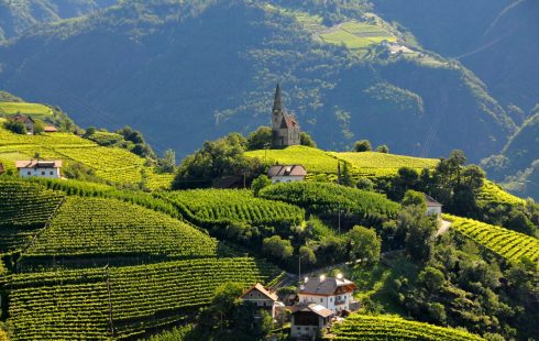 Fra vinmarkene rundt kirken St Georgen på en av høydene ved Bolzano. Foto: © Tourist Board Bolzano St Georgen, vinmarker, Bolzano, Alto Adige, Tyrol, Nord-Italia, Italia