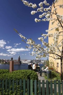 Utsyn fra Södermalm: Stadshuset på Kungsholmen til venstre, Gamla Stan til høyre. Foto: HumanSpectra Stockholm, Gamla Stan, Södermalm, gamlebyen, Unesco Verdensarv, Sverige