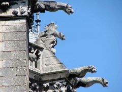 Mon tro hva middelalderens mennesker tenkte når de så disse guttene og jentene? Foto: Vassil / Wikipedia Amiens, Cathédrale Notre-Dame, middelalder, gotikken, katedralby, Unescos liste over Verdensarven, Nord-Frankrike