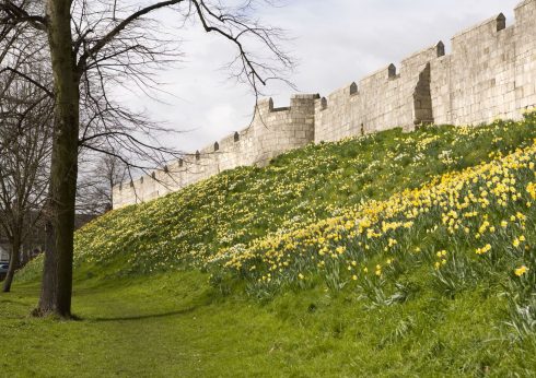 Bymurene du i dag kan se er fra middelalderen på 11-1200-tallet, Inne i jordvollene står den romerske bymuren. Vikingene bygde voller og satte tømmerpalisader oppå. Foto: © Gareth York, Yorkshire, middelalder, katedral, The York Minster, vikinger, vikingtid, romere, romertid, Konstantin den Store, angelsaksere, England, Storbritannia