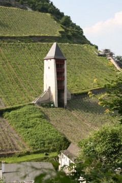 Bratte vinmarker rundt Bacharach - i bakgrunnen bymuren fra 12-1300-tallet som repareres. Foto: © reisdit.no Bacharach, Rhinen, Rheintal, romertid, middelalder, Unescos liste over Verdensarven, Vest-Tyskland