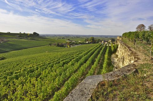 I middelalderen var St.-Émilion fullstendig omgitt av bymurer . De fleste ble revet på 1700-tallet, men noen av dem står ennå. Her utsyn i retning elven Dordogne, som renner ut i Gironde nedenfor Bordeaux. Foto: © Agence Heurisko St Émilion, Saint Emilion, La Jurade, vin, Unescos liste over Verdensarven, romertid, middelalder, Monolittkirken, Bordeaux, Pomerol, Fronsac, Bordeaux, Vest-Frankrike