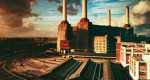 hip_evo_animals_2016_sm-Battersea-crop