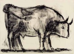 Fra utstillingen: Litografiet "Oksen" av Pablo Picasso - Versjon 1. datert 5. desember 1945. Foto: © Kunstmuseum Pablo Picasso Münster Münster, Tyskland, Vest-Tyskland, Westfalen, Kunstmuseum Pablo Picasso Münster, Aasee, Prinzipalmarkt, middelalder, Freden i Westfalen, Friedenssal, anabaptistene, LWL Museum Münster, Thürmerin, Dom St. Paul, Lamberti-kirche